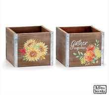 Load image into Gallery viewer, Kalanchoe Plant in box