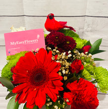 Load image into Gallery viewer, Christmas Designer choice in cardinal vase.- Best Seller