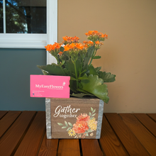 Load image into Gallery viewer, Kalanchoe Plant in box