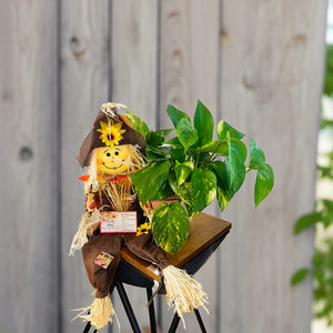 SCARECROW POT WITH PLANT