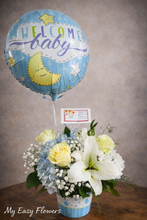 Load image into Gallery viewer, It’s a Boy
