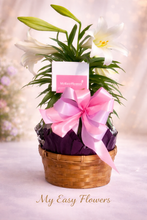 Load image into Gallery viewer, Easter Lily Plant.- AVAILABLE FROM MARCH 30 TO APRIL 10 🐣🐰🤍
