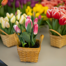 Load image into Gallery viewer, Tulips in bamboo basket 🐣 SMALL
