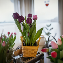Load image into Gallery viewer, Tulips in bamboo basket 🐣 SMALL

