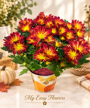 Load image into Gallery viewer, Autumn Glow Chrysanthemum Planter
