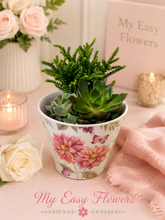 Load image into Gallery viewer, Little Garden of Love – Succulent Arrangement
