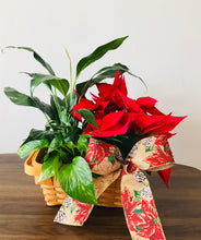 Load image into Gallery viewer, Christmas dish garden.- Best Seller
