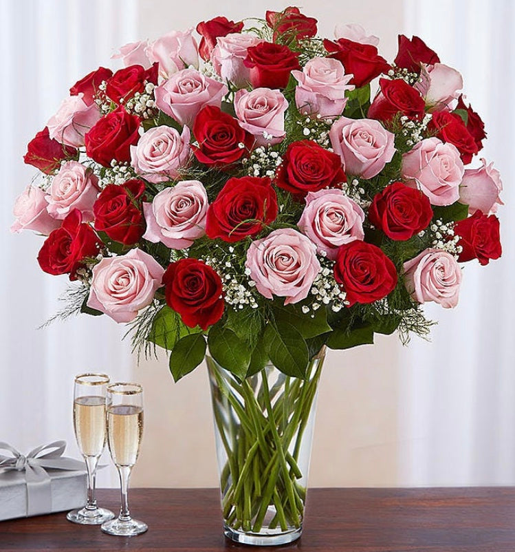 48 LONG STEM PINK & RED ROSES