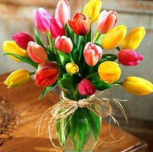 Designer's choice Tulips