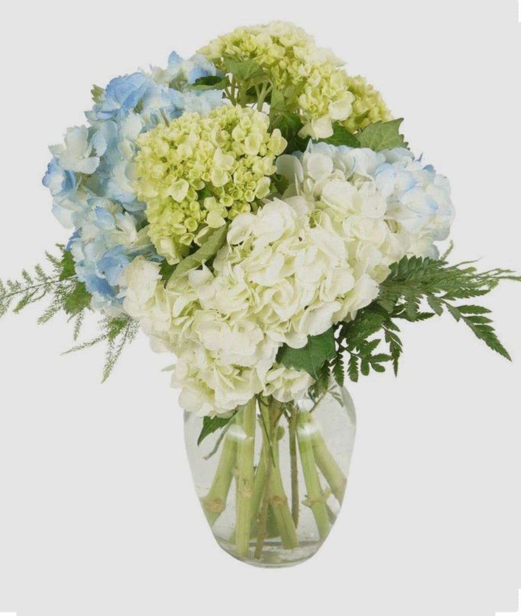 Charm hydrangeas bouquet