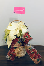 Load image into Gallery viewer, Mini Poinsettia 4”
