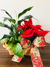 Load image into Gallery viewer, Christmas dish garden.- Best Seller
