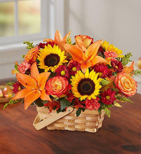 Load image into Gallery viewer, FIELDS FALL BASKET
