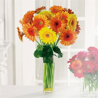 myeasyflowers-GERBERA-GERBERA-GERBERA_ORANGE