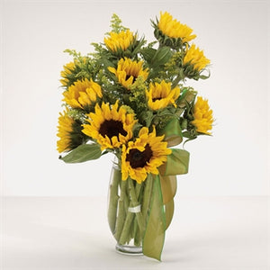 myeasyflowers-Helianthus-GIRASOLES-SUNFLOWERS_YELLOW