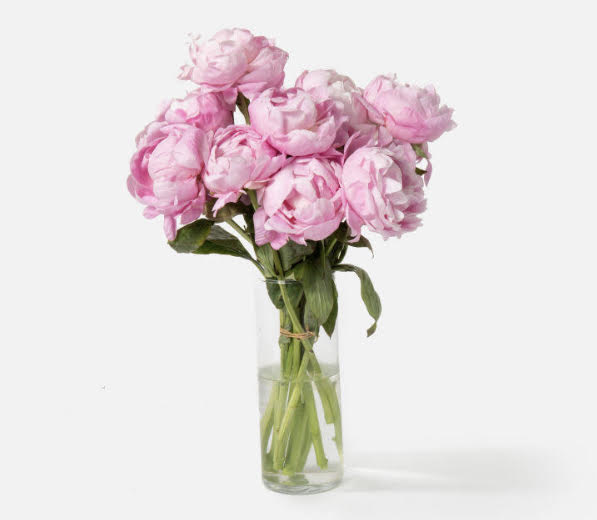 Peonies bouquet.- Best Seller