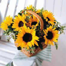 Load image into Gallery viewer, Sunflower in a basket
